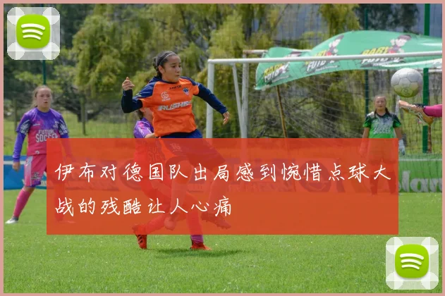伊布对德国队出局感到惋惜点球大战的残酷让人心痛